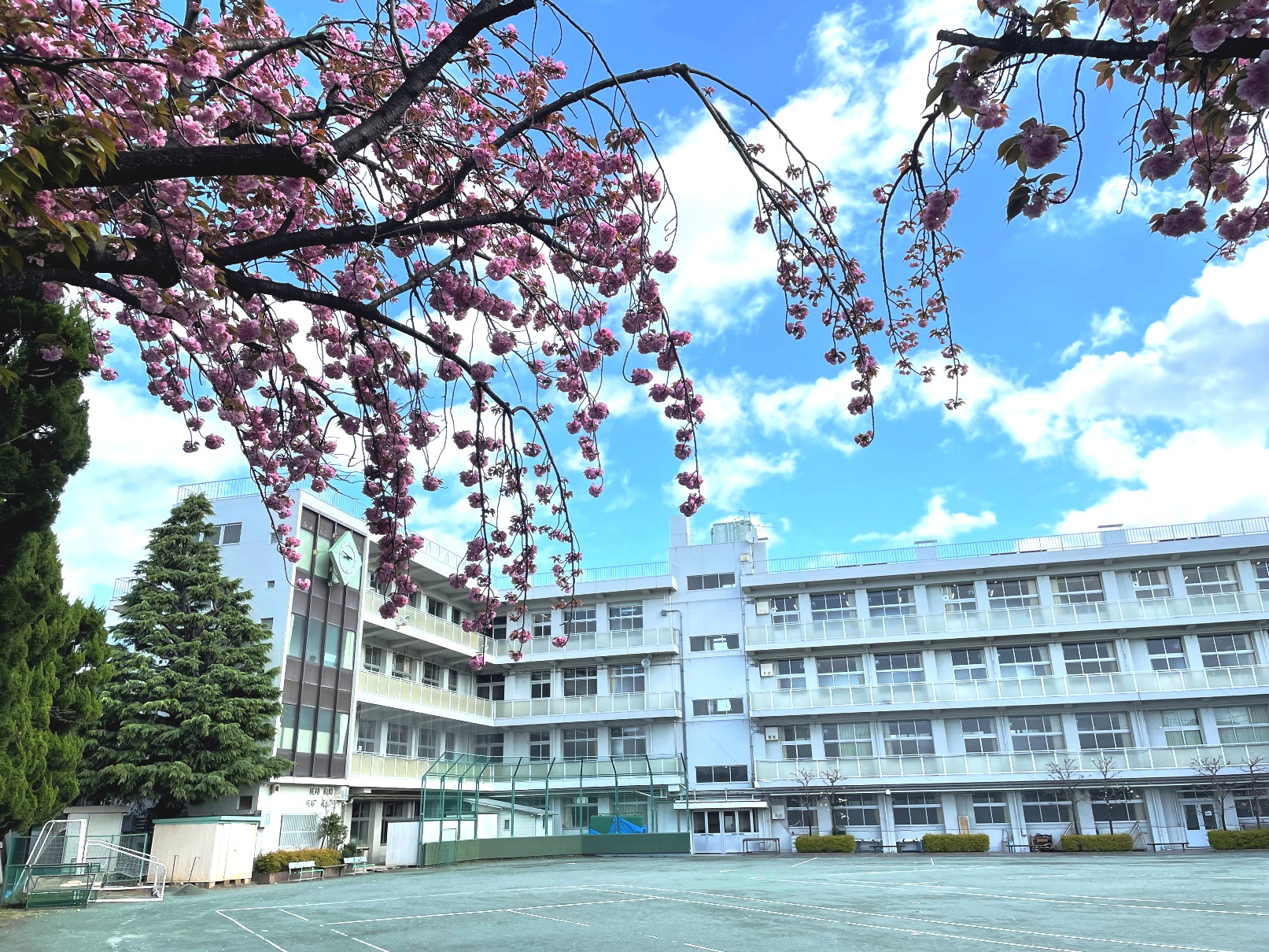 2023年度【入学式】 学園生活 下北沢成徳高等学校